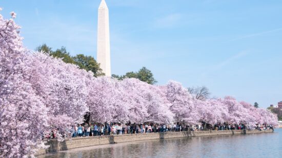 1718969802-3808-7219-lxb_photooqHYQyGD9Polxb_photo-