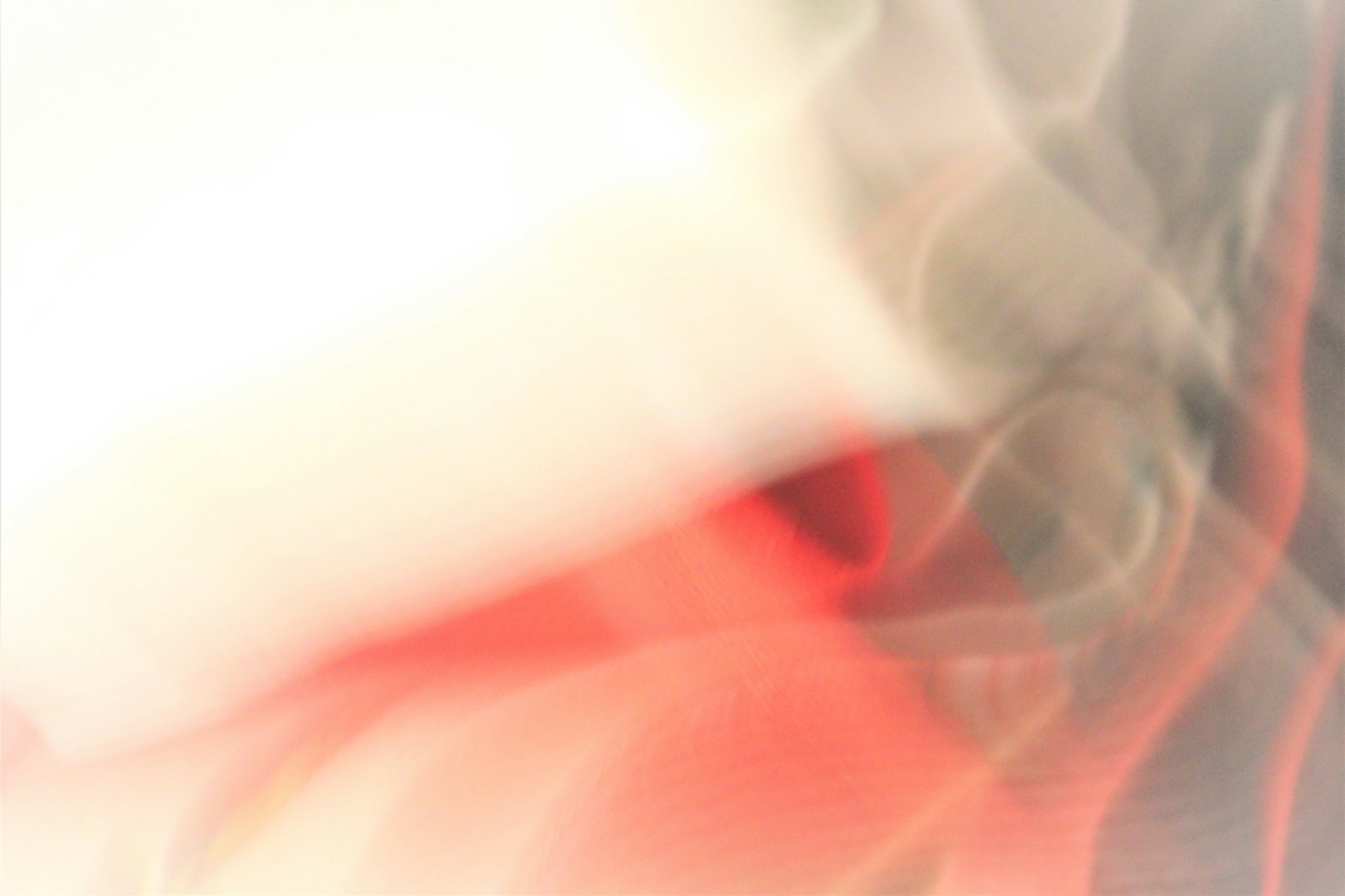 1751491119-4216-3971-lxb_photoxxYEWf9oLRMlxb_photo-