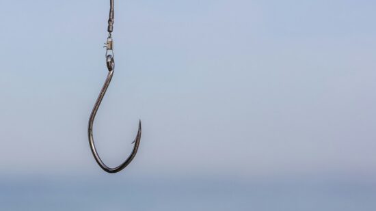 "Hope is such a bait, it covers any hook." Oliver Goldsmith
